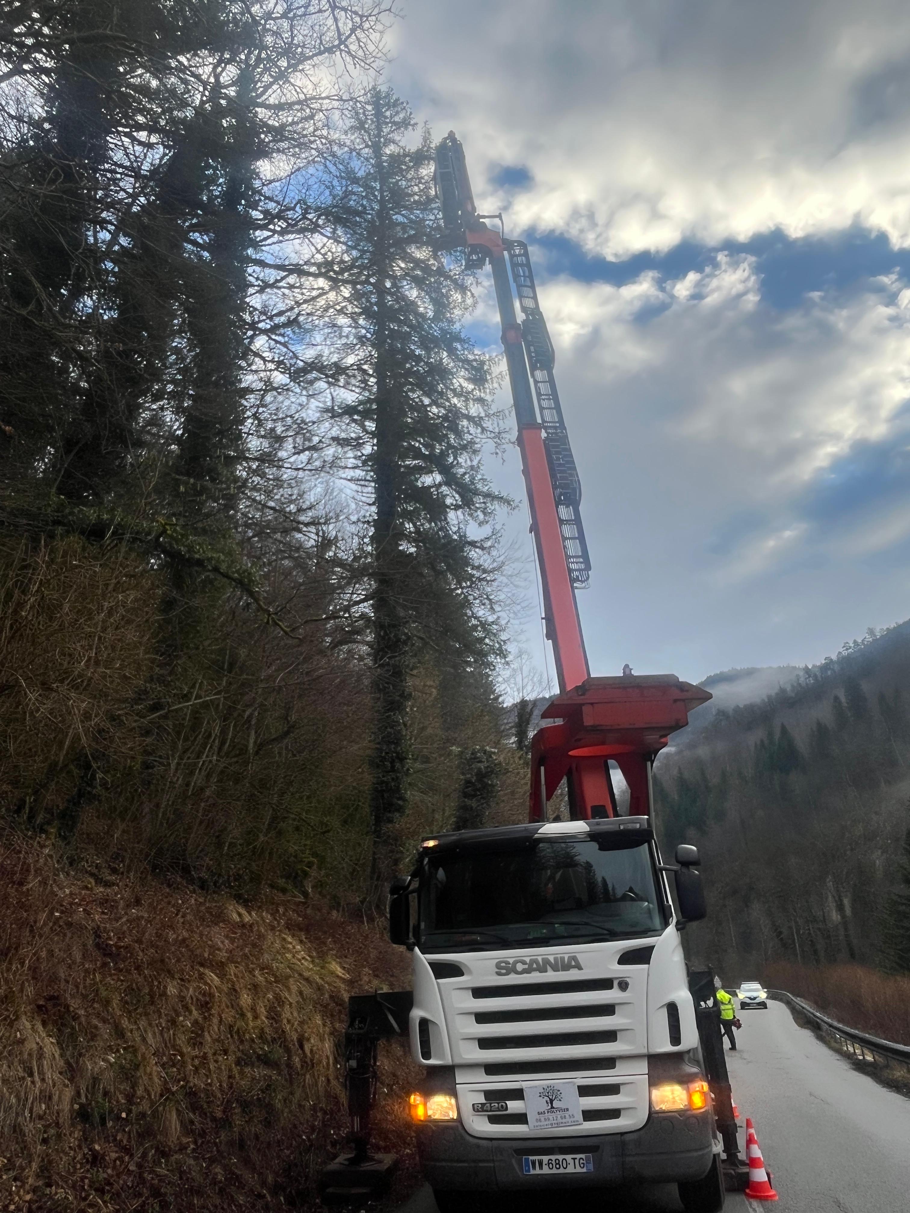 Sécurisation de route par abattage d'arbres dans le Jura — SAS POLYVIER